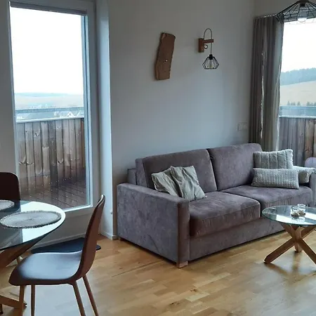 Mezonetovy Se Dvema Balkony A Vyhledem *