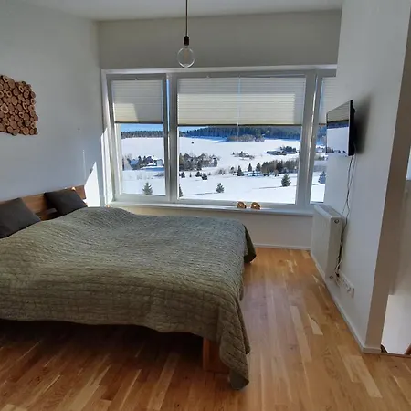 Mezonetovy Se Dvema Balkony A Vyhledem Lejlighed Loučná pod Klínovcem