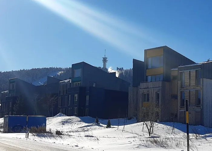 Mezonetovy Se Dvema Balkony A Vyhledem *